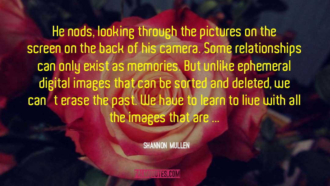 Seeing The Good Through The Bad quotes by Shannon Mullen