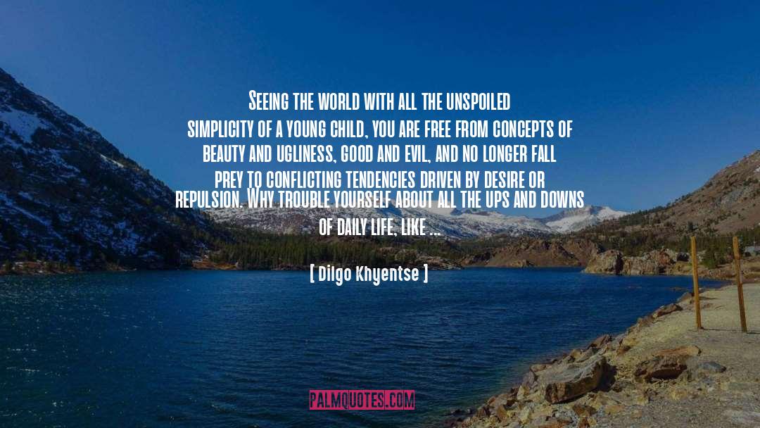 Seeing The World quotes by Dilgo Khyentse