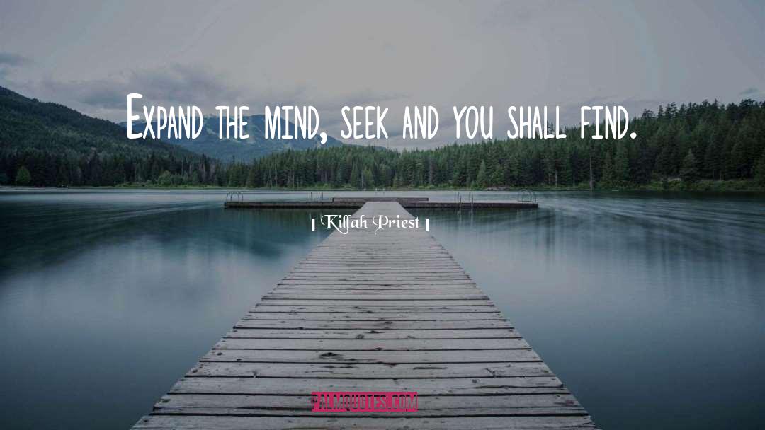 Seek And You Shall Find quotes by Killah Priest