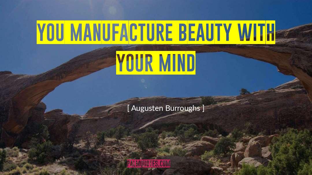 Seek Beauty quotes by Augusten Burroughs