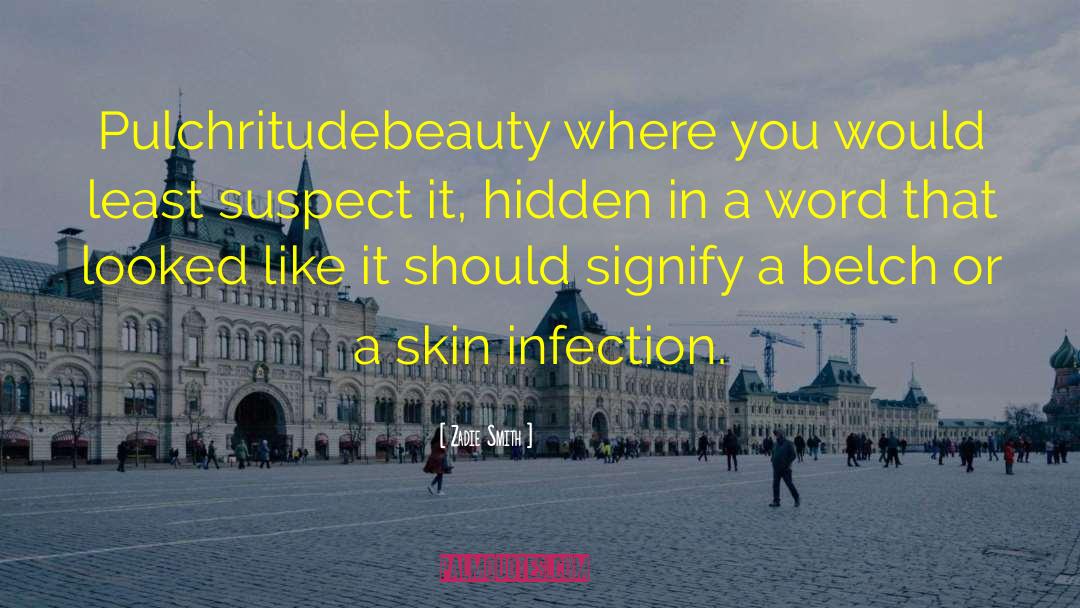 Seek Beauty quotes by Zadie Smith