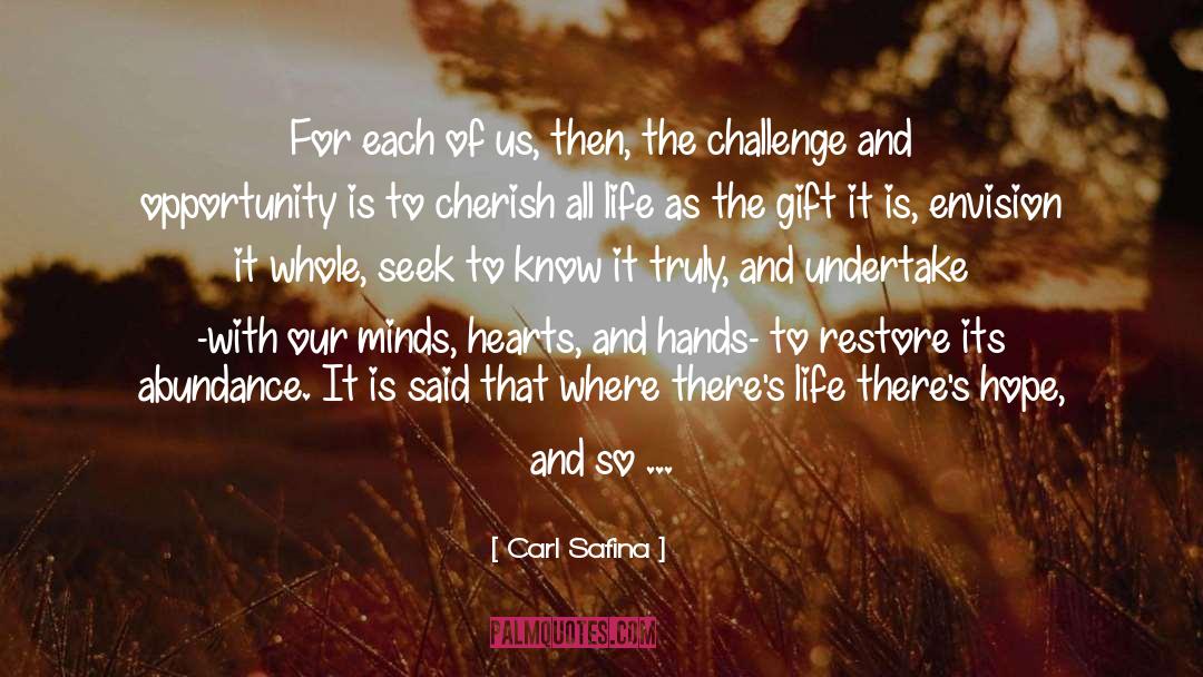 Seek Beauty quotes by Carl Safina