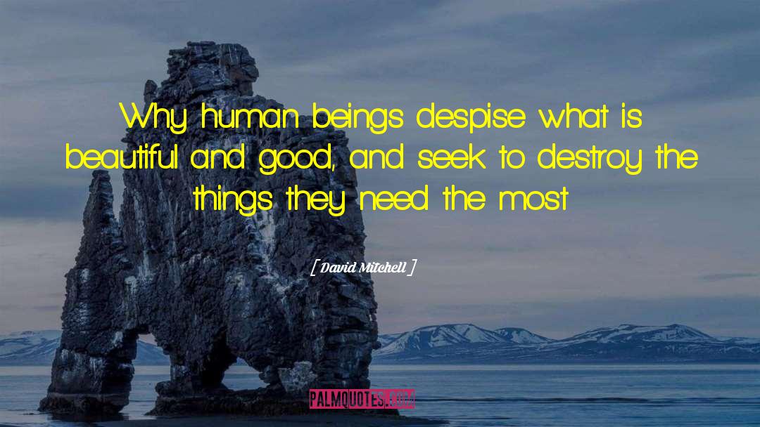 Seek Harmony quotes by David Mitchell