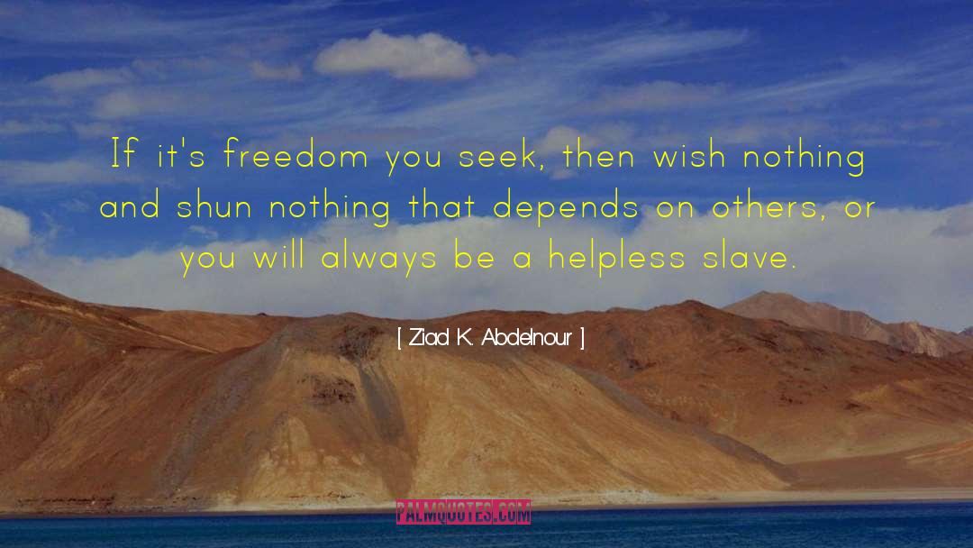 Seek Harmony quotes by Ziad K. Abdelnour