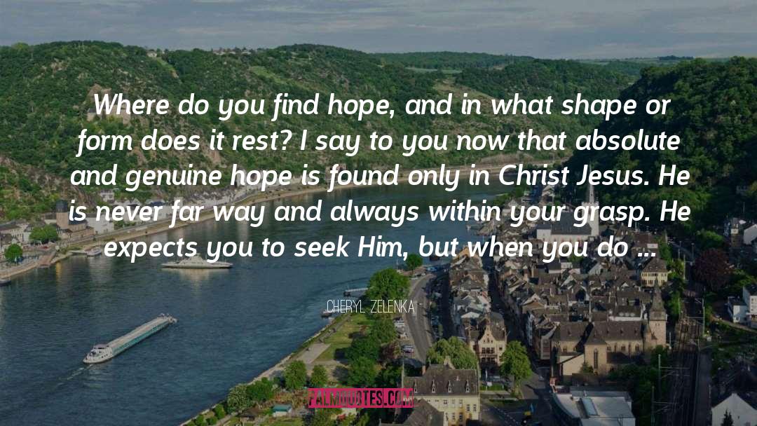 Seek Him quotes by Cheryl Zelenka