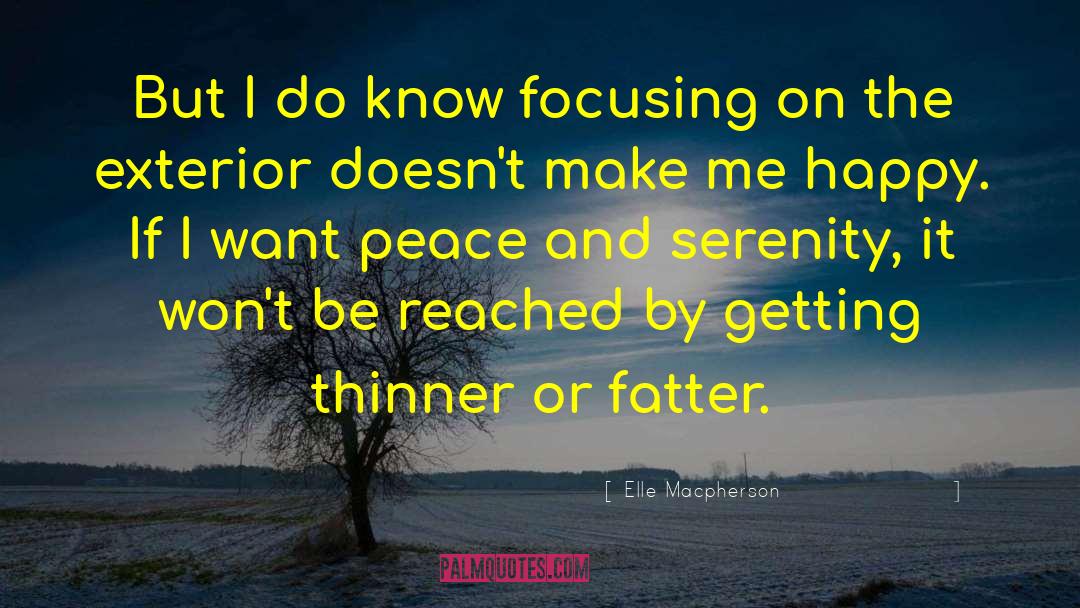 Seek Peace quotes by Elle Macpherson