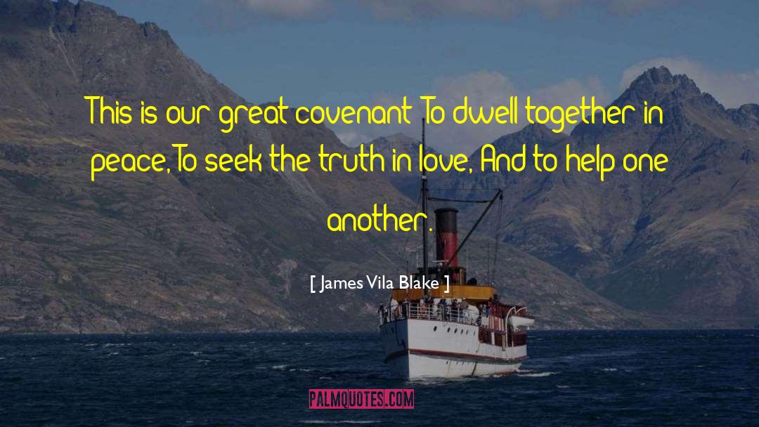 Seek The Truth quotes by James Vila Blake