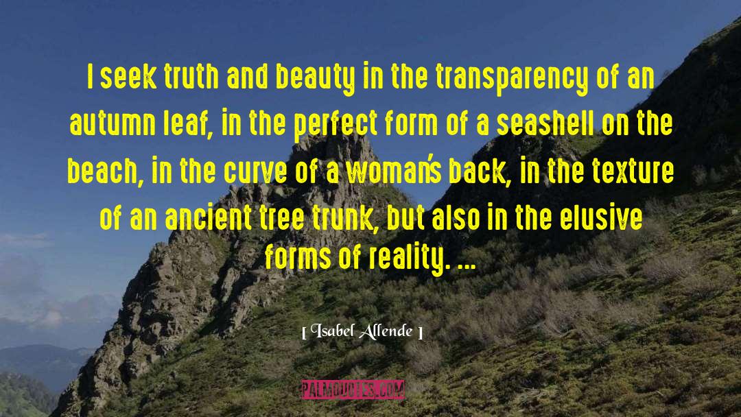 Seek Truth quotes by Isabel Allende