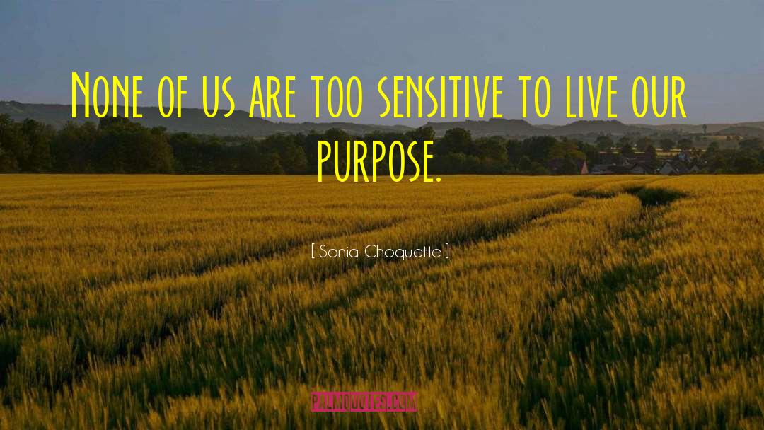 Seeker Sensitive quotes by Sonia Choquette