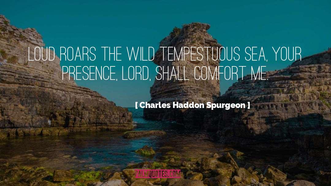 Seeking Comfort quotes by Charles Haddon Spurgeon