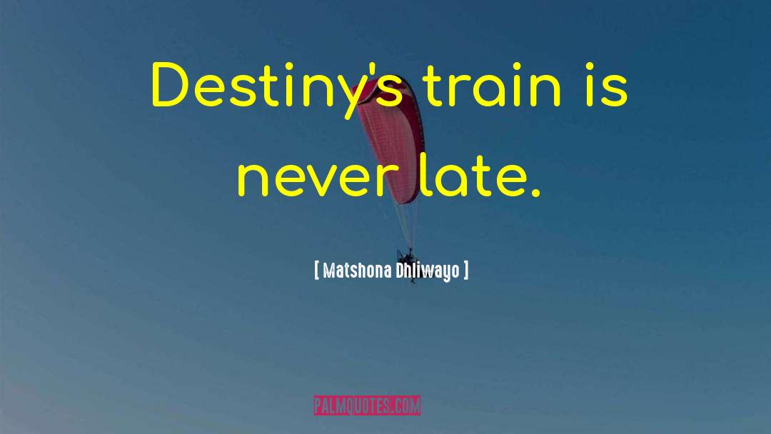 Seeking Fate quotes by Matshona Dhliwayo