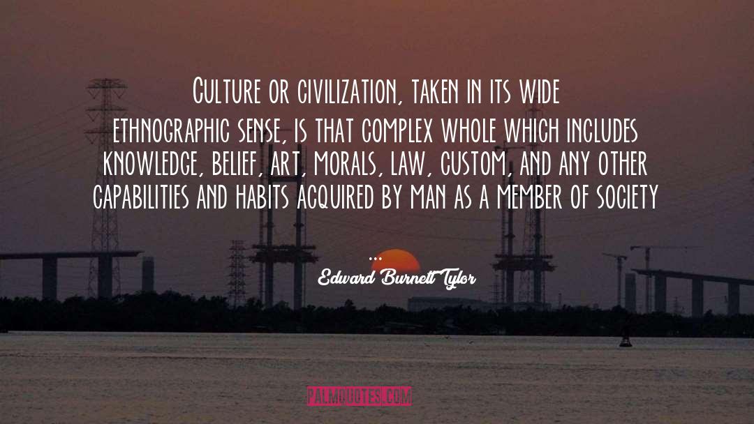 Seeking Knowledge quotes by Edward Burnett Tylor