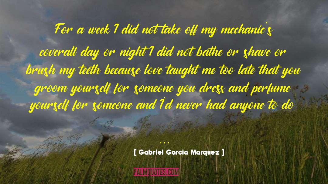 Seeking Someone quotes by Gabriel Garcia Marquez