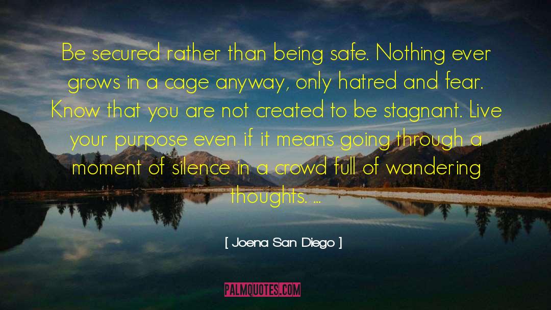 Seeliger San Diego quotes by Joena San Diego