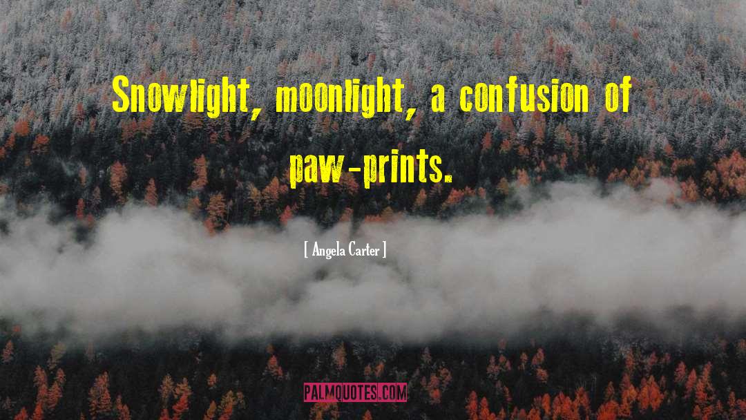 Seelye Of Paw quotes by Angela Carter