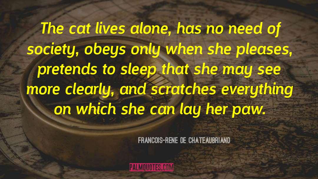 Seelye Of Paw quotes by Francois-Rene De Chateaubriand
