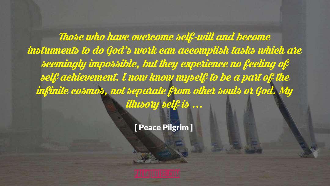 Seemingly quotes by Peace Pilgrim