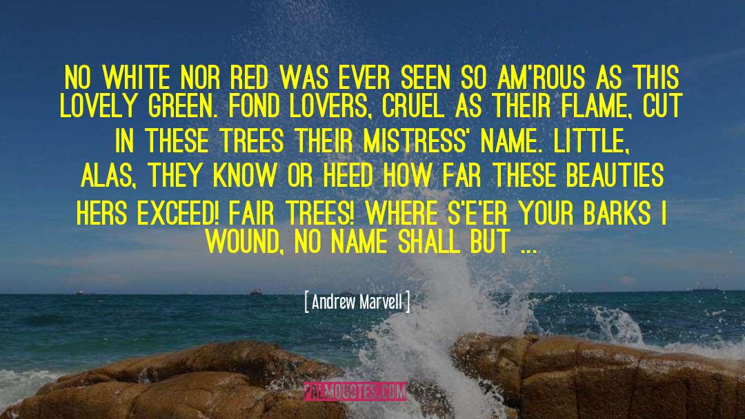 Seer quotes by Andrew Marvell