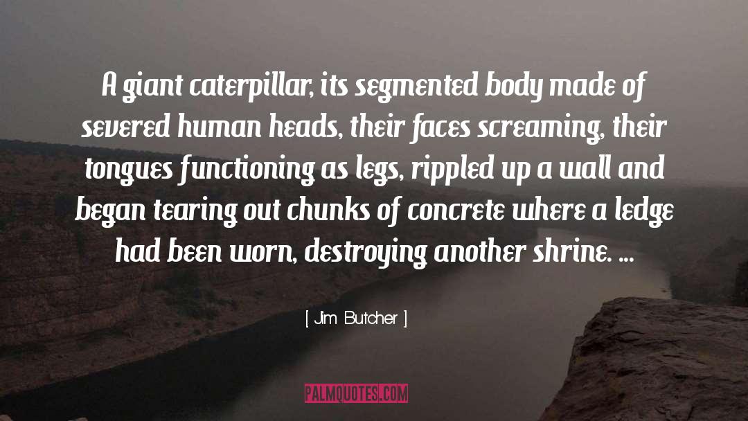 Segmented Assimilation quotes by Jim Butcher