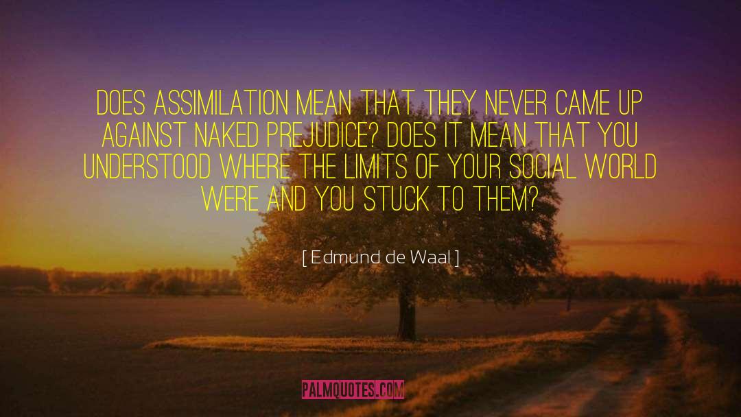 Segmented Assimilation quotes by Edmund De Waal