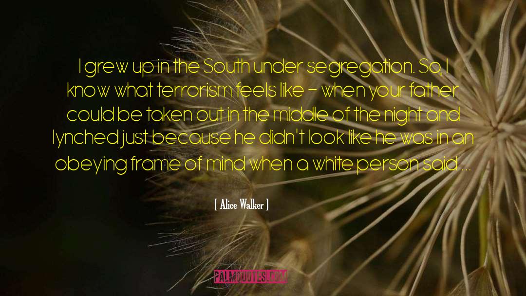 Segregation quotes by Alice Walker