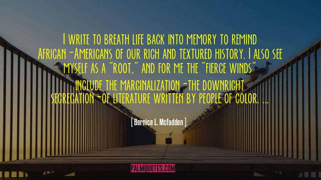 Segregation quotes by Bernice L. McFadden