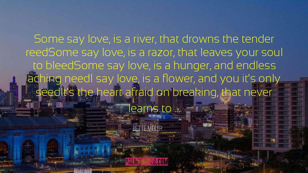 Seine River quotes by Bette Midler