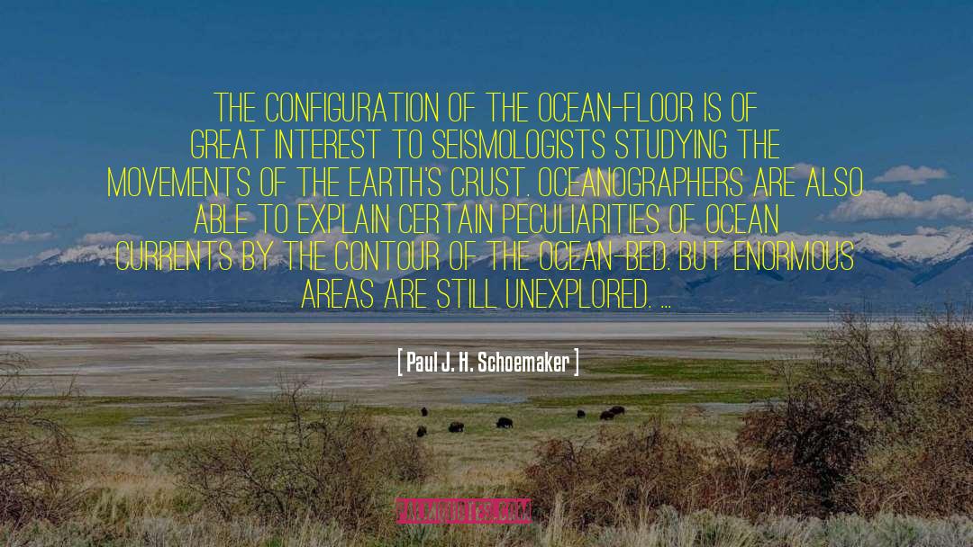 Seismologists Melodies quotes by Paul J. H. Schoemaker