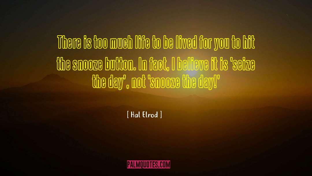 Seize The Day quotes by Hal Elrod