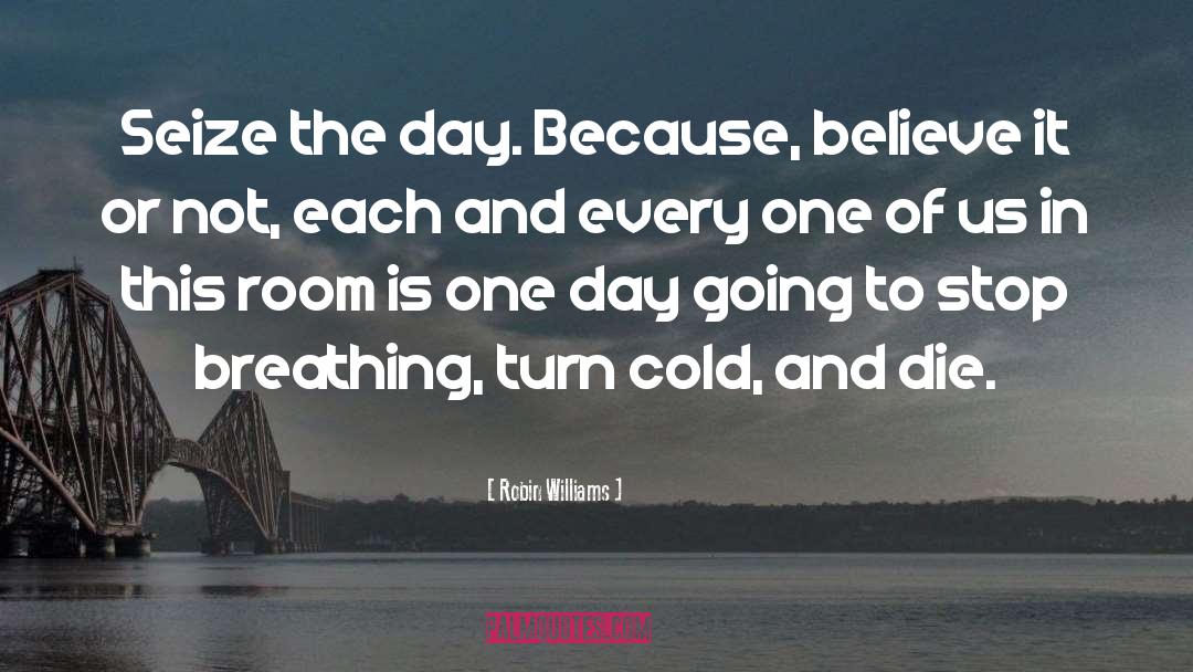 Seize The Day quotes by Robin Williams
