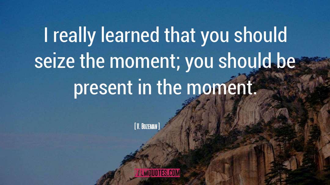 Seize The Moment quotes by V. Bozeman