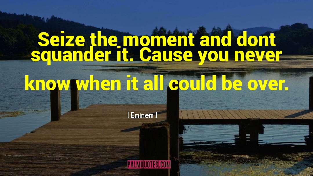 Seize The Moment quotes by Eminem