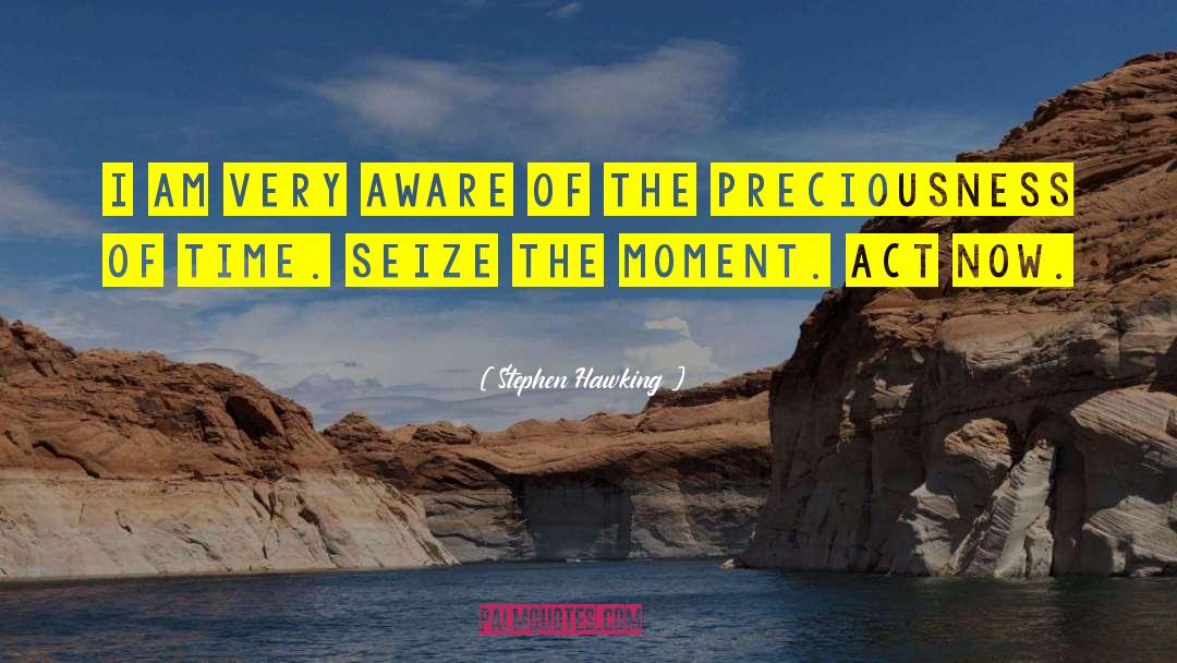 Seize The Moment quotes by Stephen Hawking