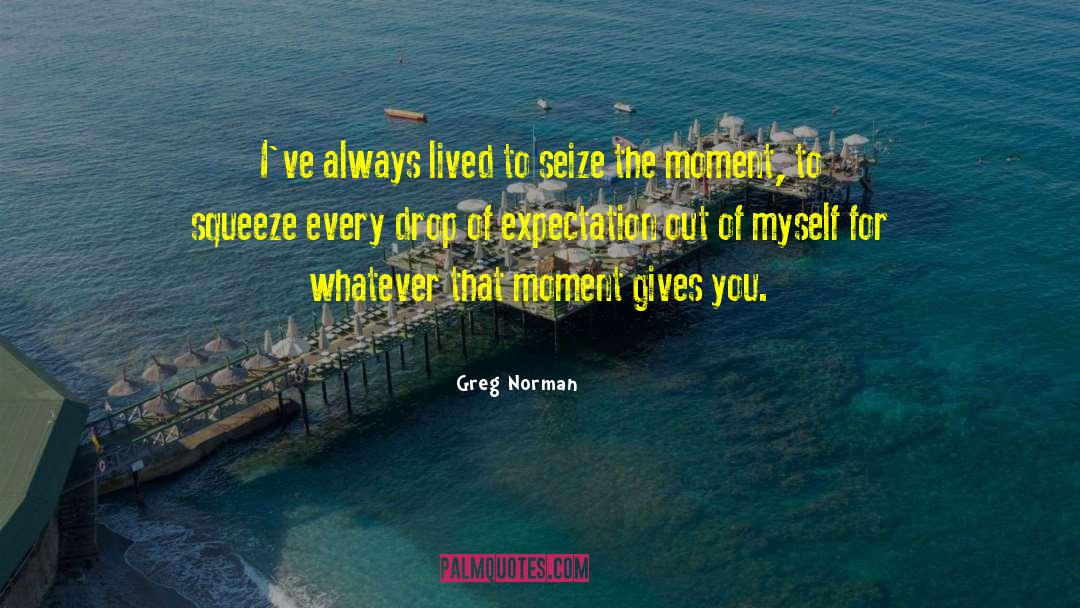 Seize The Moment quotes by Greg Norman