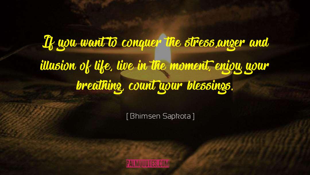 Seize The Moment quotes by Bhimsen Sapkota