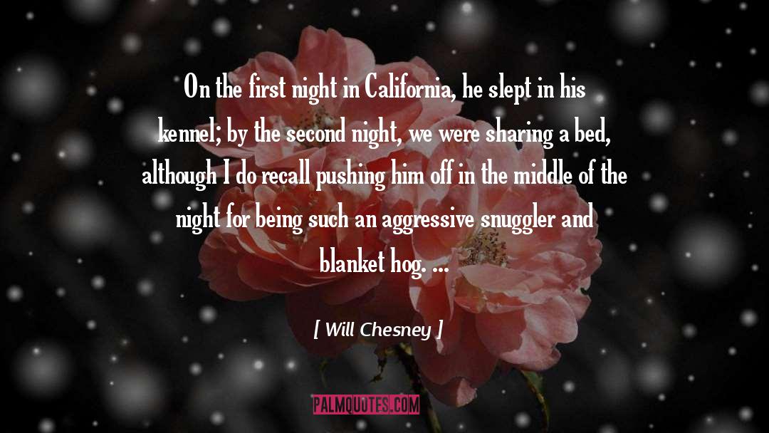 Seize The Night quotes by Will Chesney