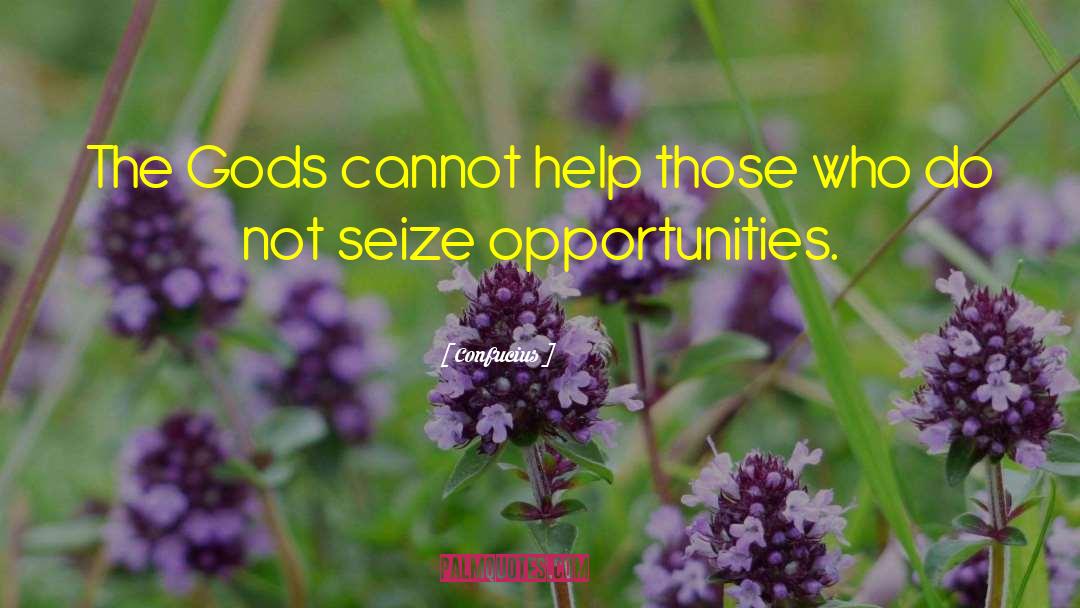 Seize The Opportunity quotes by Confucius