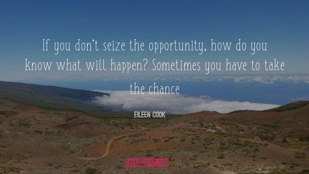 Seize The Opportunity quotes by Eileen Cook