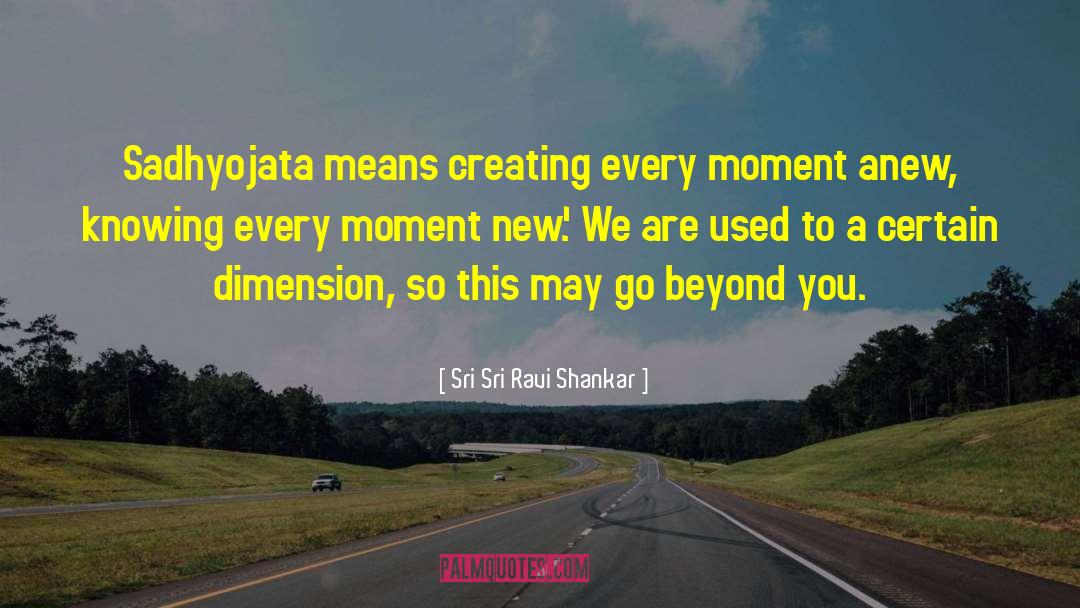 Seize This Moment quotes by Sri Sri Ravi Shankar