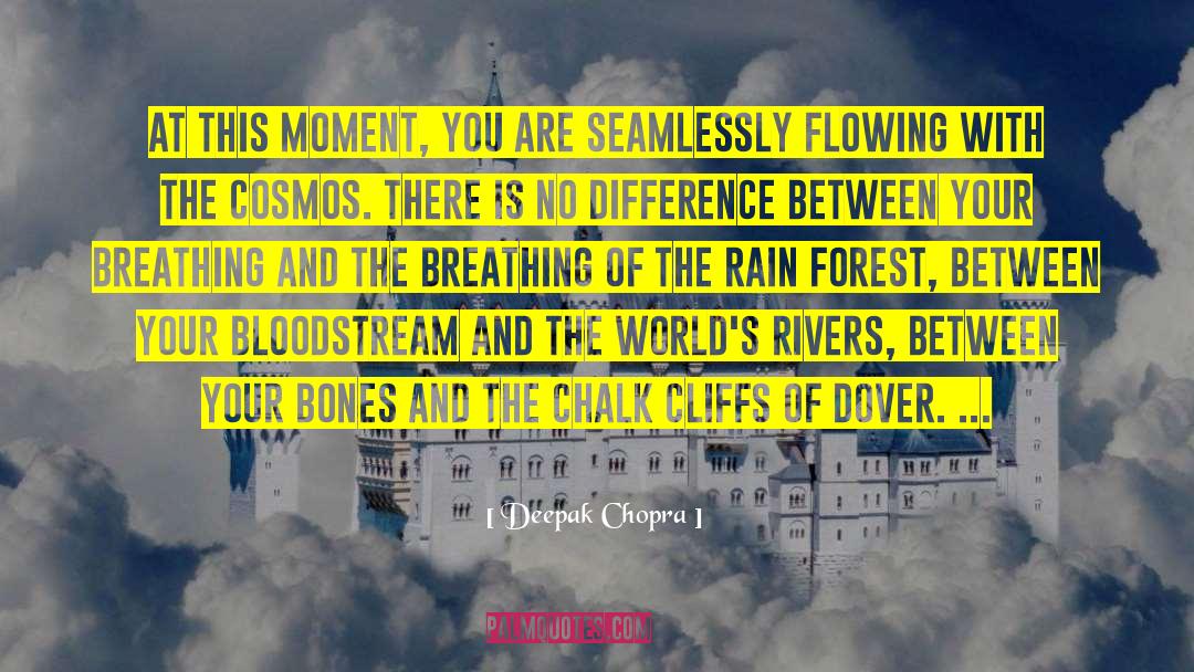 Seizing The Moment quotes by Deepak Chopra