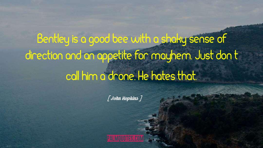 Selbie Drone quotes by John Hopkins