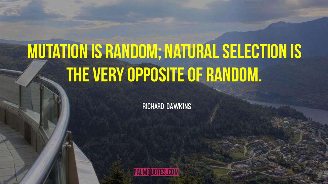 Selection Theories quotes by Richard Dawkins