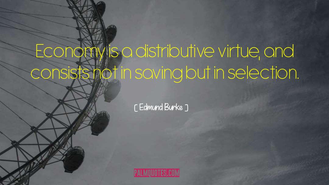 Selection Theories quotes by Edmund Burke