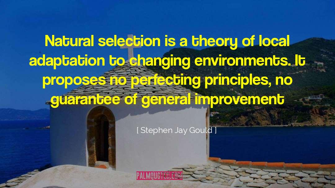 Selection Theories quotes by Stephen Jay Gould