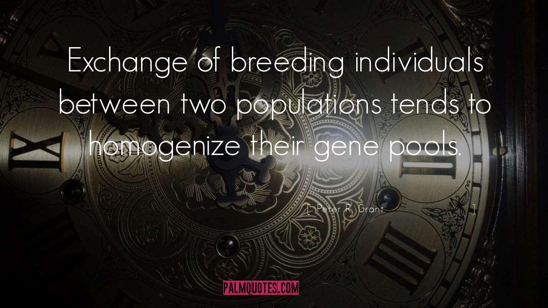 Selective Breeding quotes by Peter R. Grant