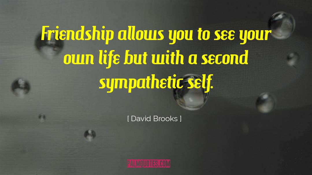 Self Accountability quotes by David Brooks