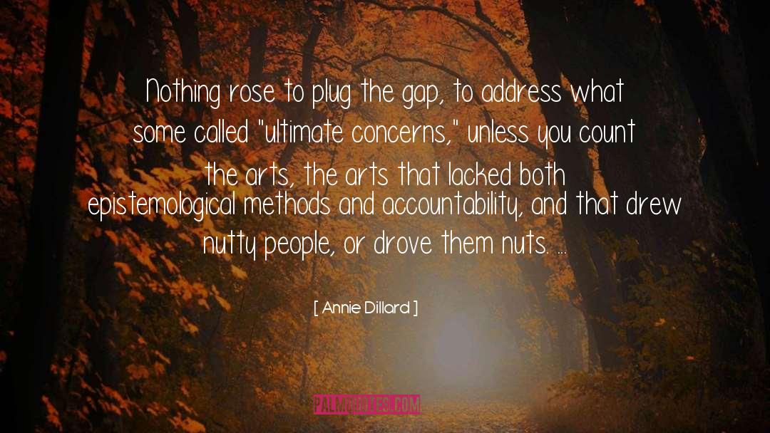 Self Accountability quotes by Annie Dillard