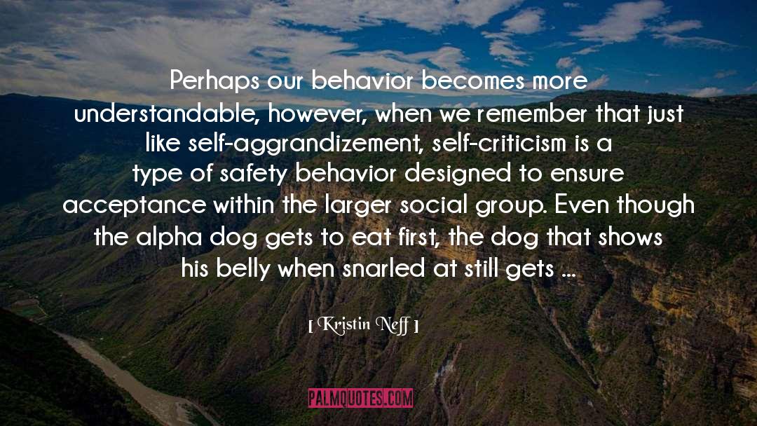 Self Aggrandizement quotes by Kristin Neff