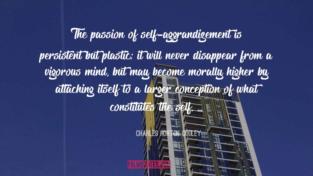 Self Aggrandizement quotes by Charles Horton Cooley