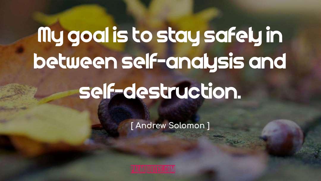 Self Analysis quotes by Andrew Solomon